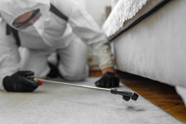 Professional Bed Bug Control technician working in Palos Hills, IL