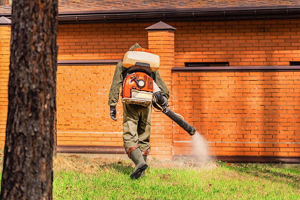Trusted Rodent Control service in Palos Hills, IL - Nex Pest Control